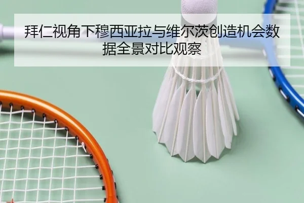 拜仁视角下穆西亚拉与维尔茨创造机会数据全景对比观察